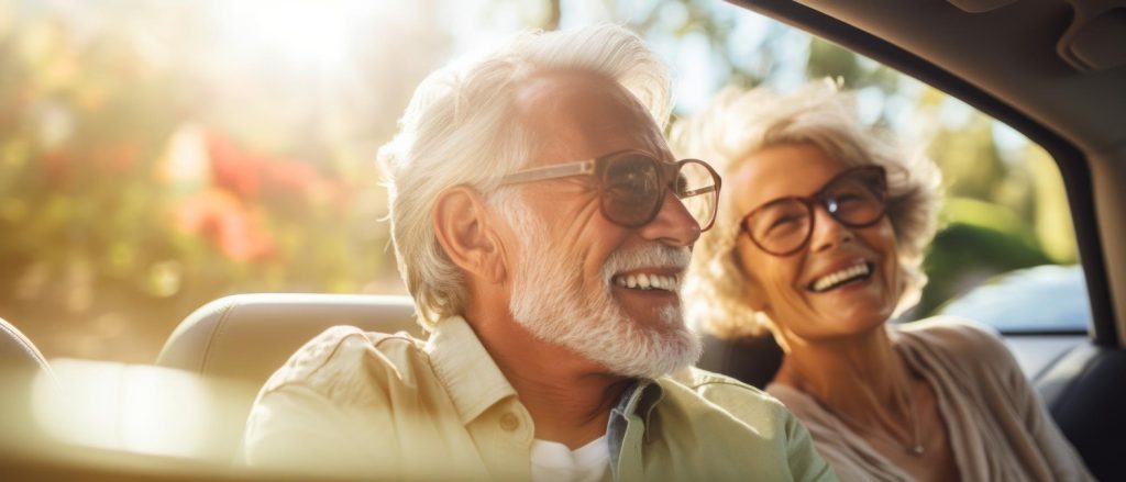 Poignee Aide Sortie Voiture Presentation Senior Agees